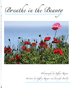 breathe in the beauty book cover